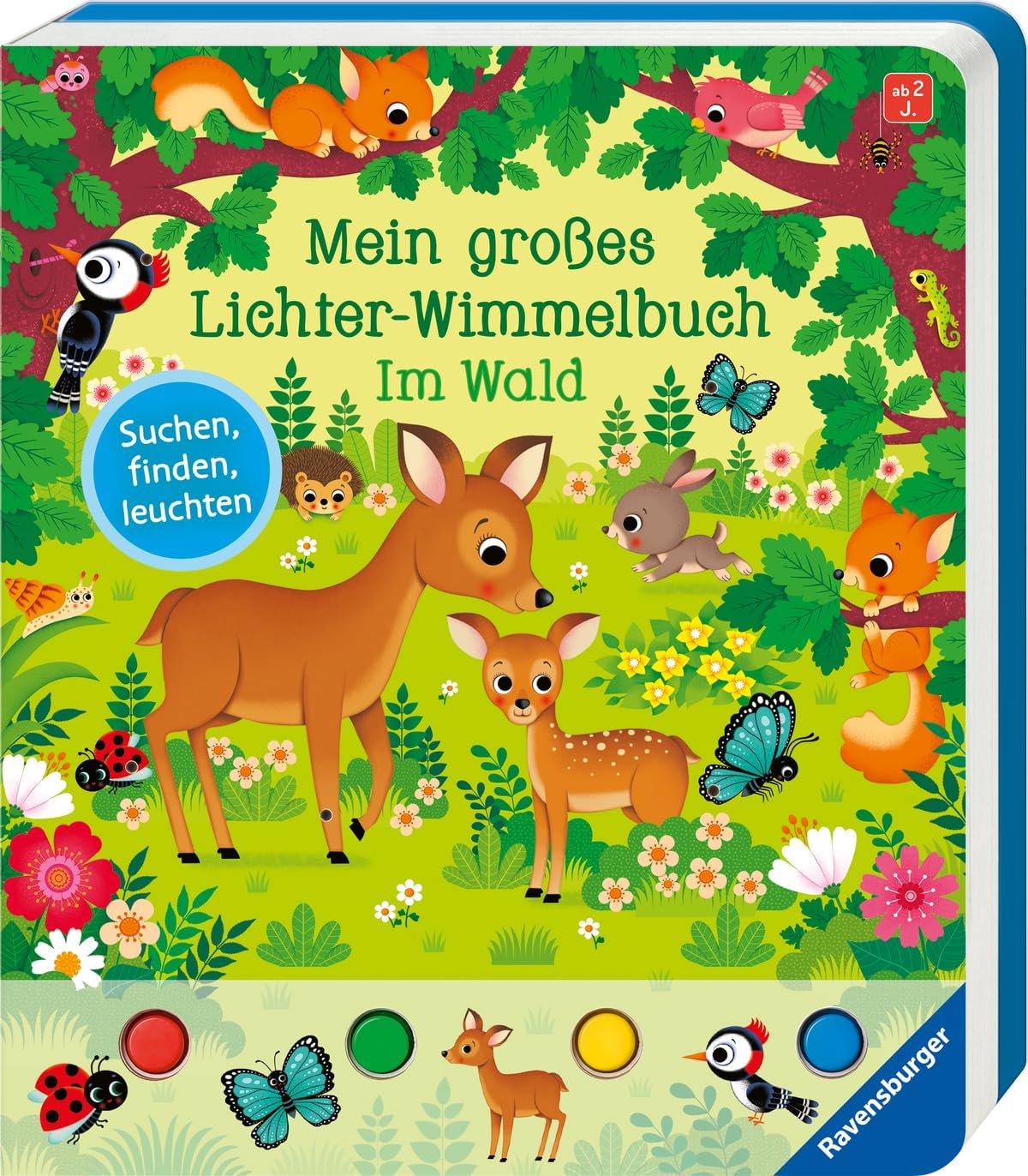 Mein großes Lichter-Wimmelbuch: Im Wald