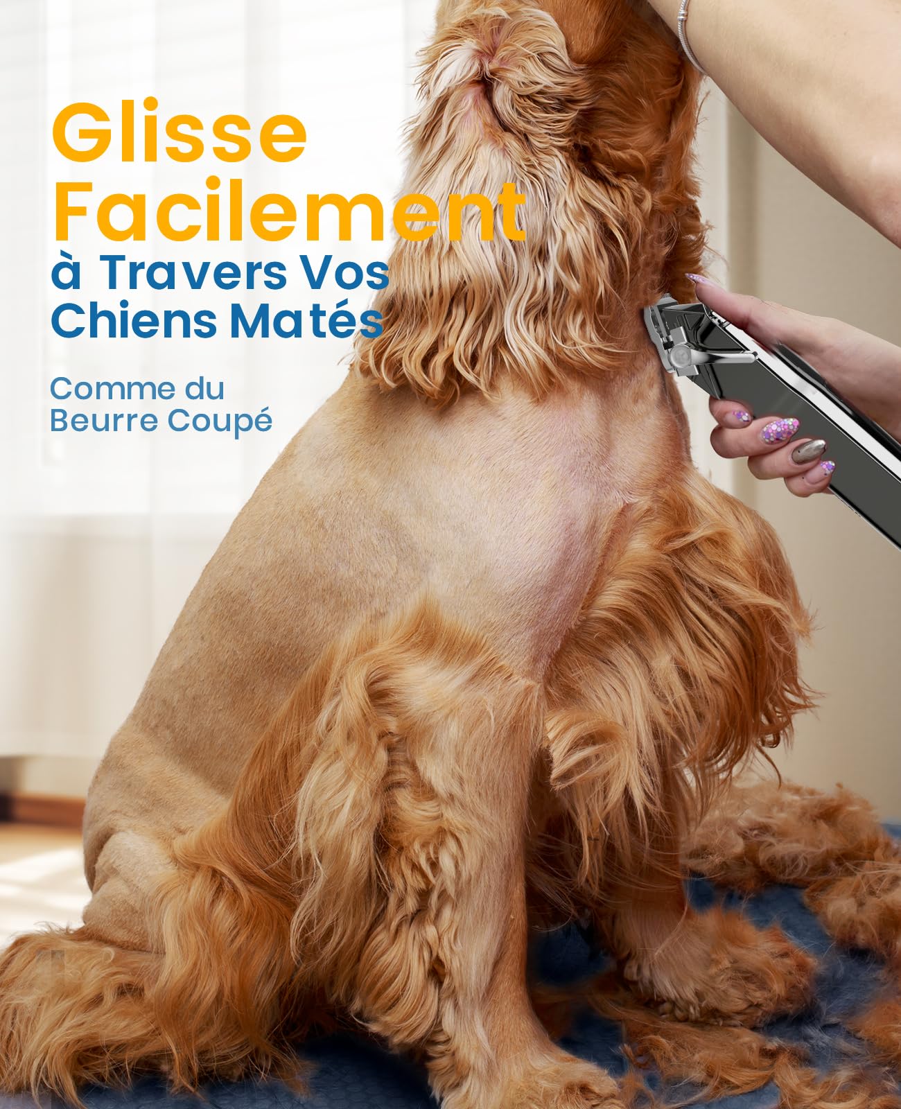 Oneisall Tondeuse à poils pour chiens de haute qualité, tondeuse sans fil entièrement étanche IPX7, adaptée aux poils longs et épais