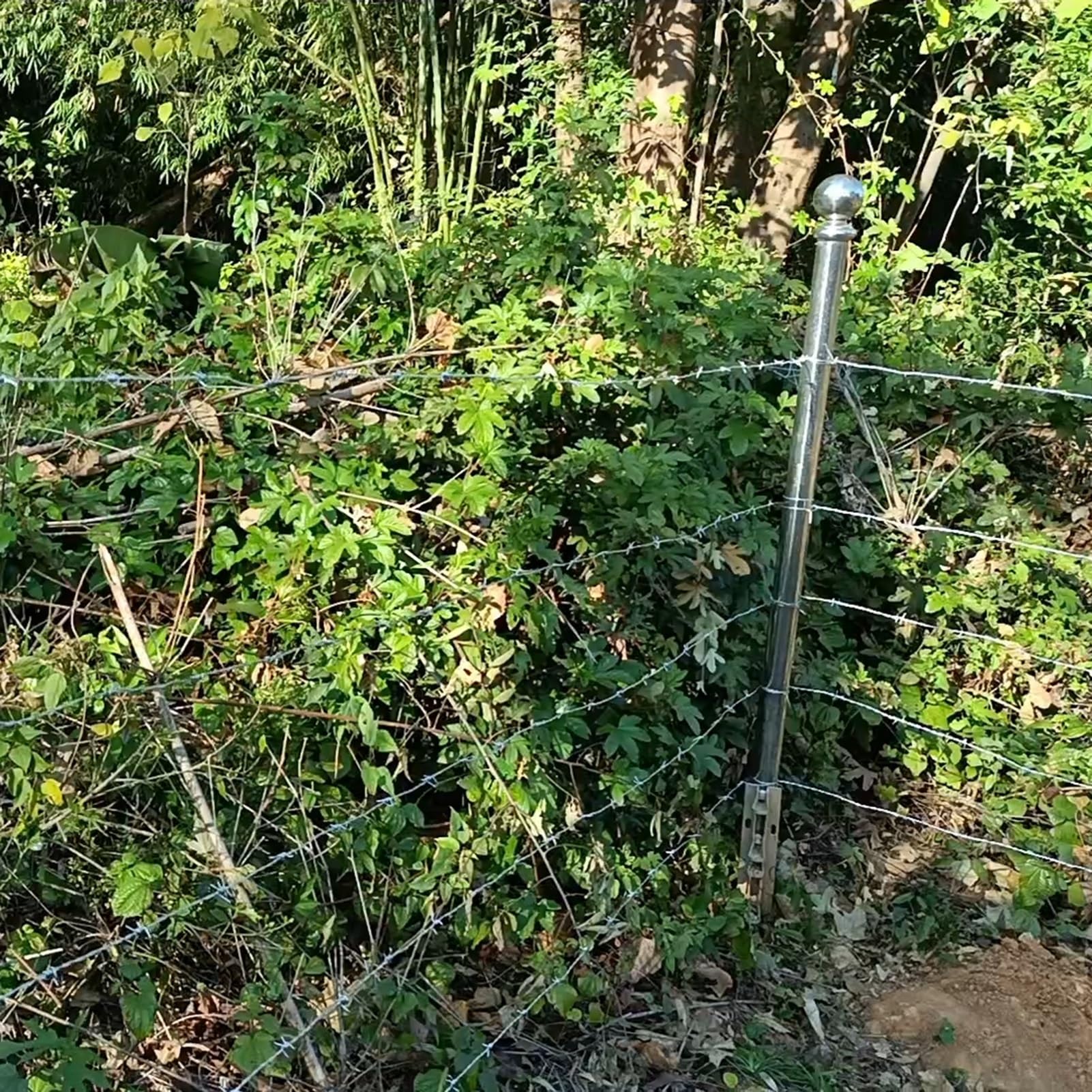 Alambre Espino Galvanizado Alambre de púas de 4 puntos, bobinas de alambre de púas antiescalada, alambre de púas en rollo para jardín al aire libre para cercas, bate de béisbol, artesanías residencia