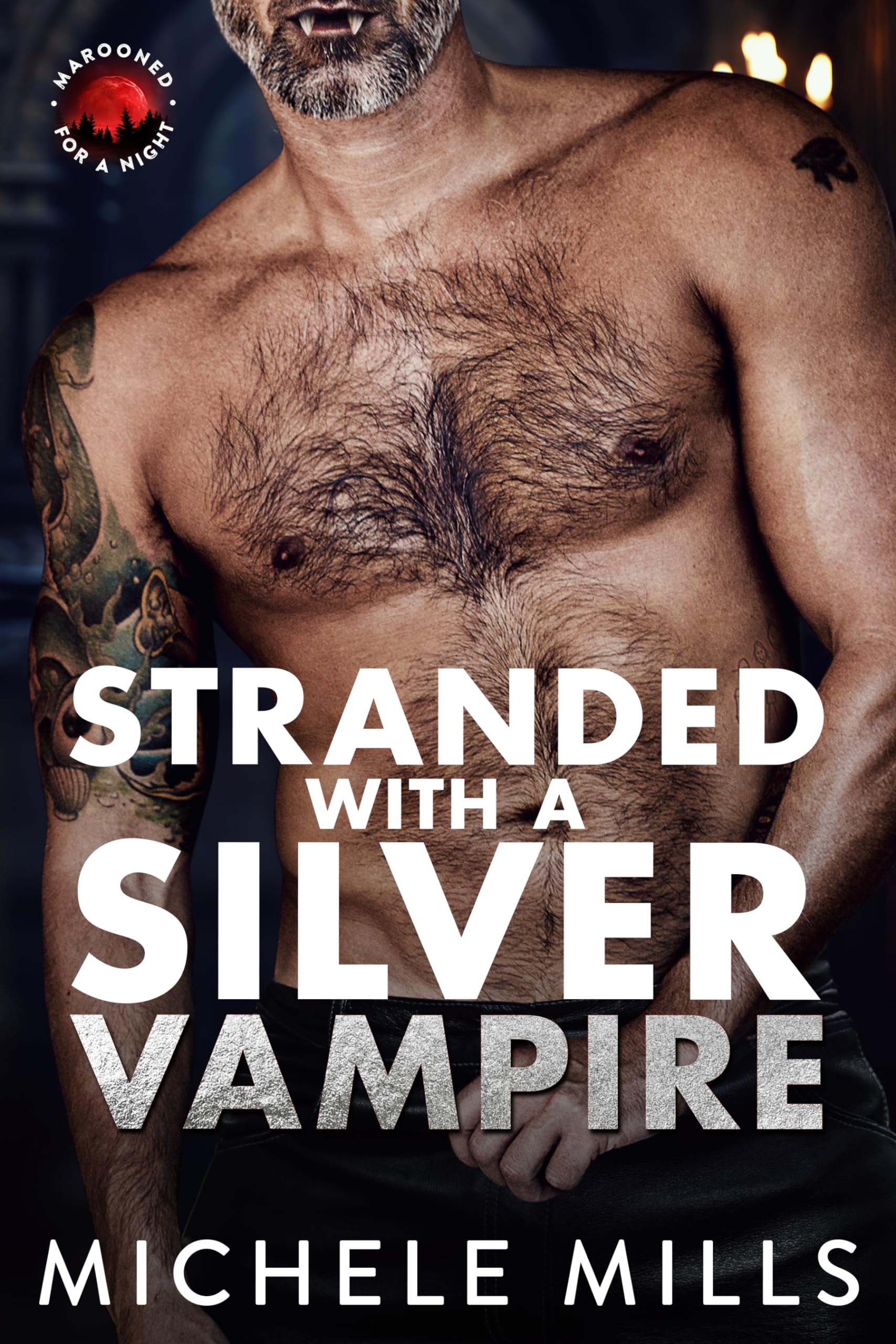Cover of Stranded with a Silver Vampire
