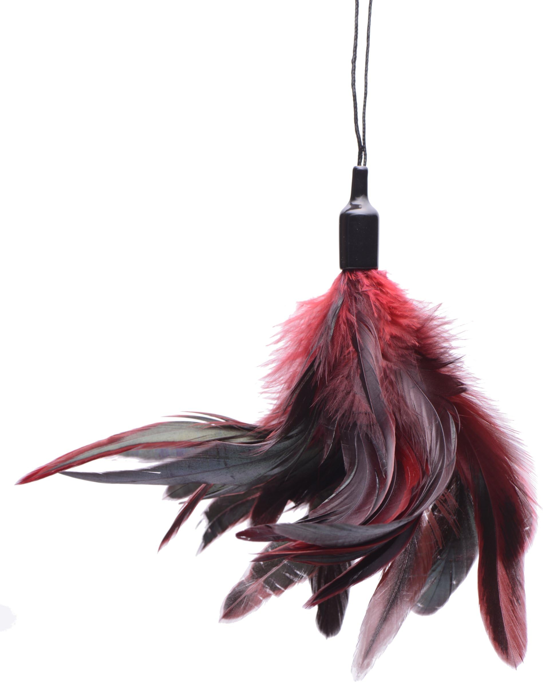 Greygasms Scarlet Plume Feather Tickler, 0.06 Pound (Pack of 12)