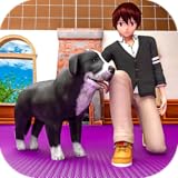 peti peto perrocaliente Juega y cuida de diferentes animales en este juego de cuidado de refugios.