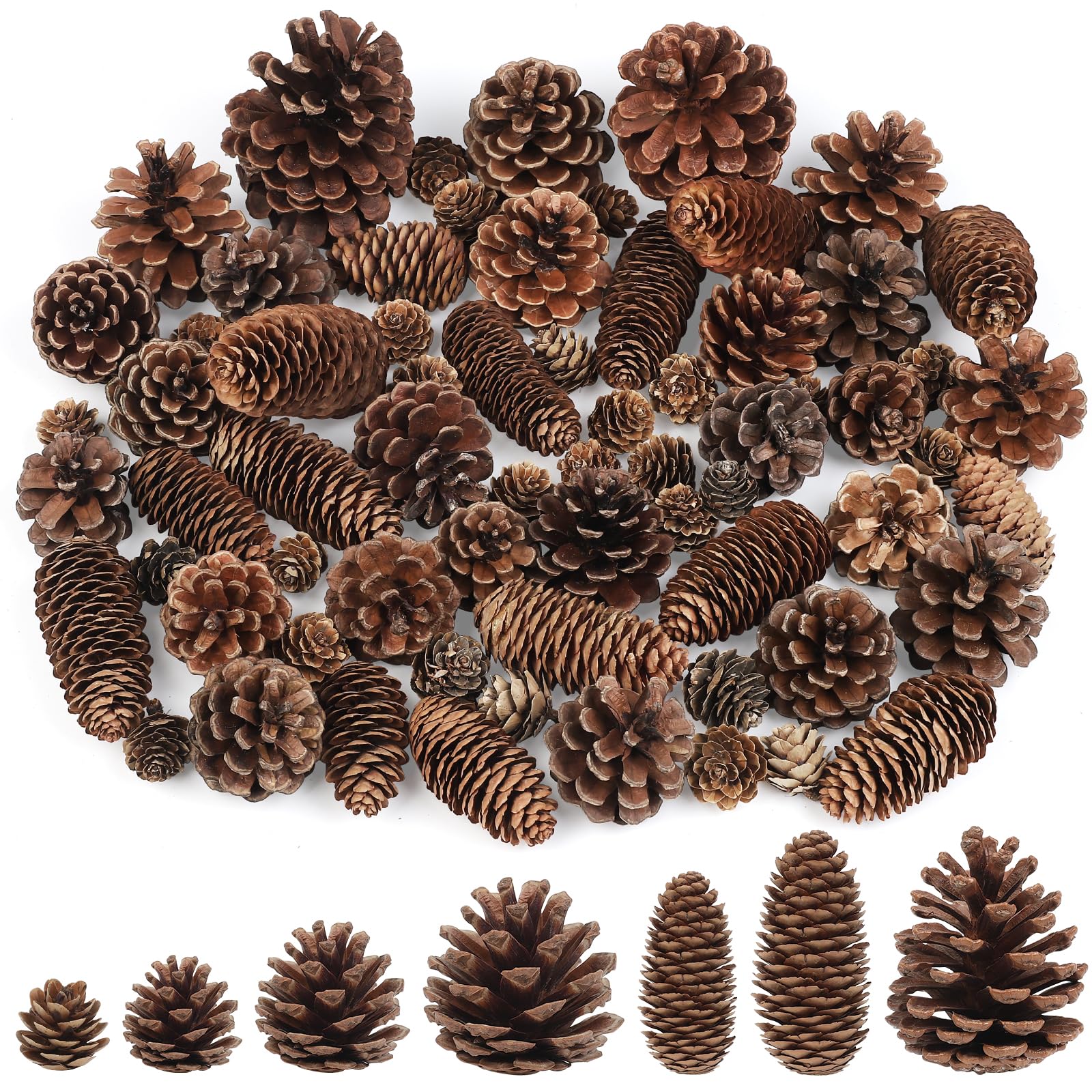 Larber 65pcs Natural Pine Cones Set Decoration Multiple Sizes Pine Cones Ornaments Rustic Pinecones for Crafts Autumn and Winter Crafts Christmas Tree Home Decoration
