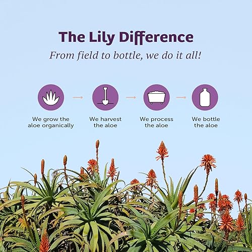 Miniatura 7 de Lily Of The Desert Fórmula de hierbas de gel de aloe vera orgánico para el estómago de 32 onzas