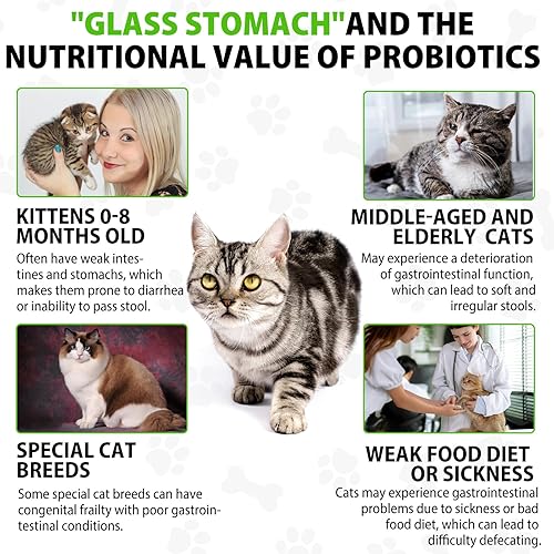 Miniatura 6 de Alivio del estreñimiento del gato, laxante de gato, alivio del estreñimiento para gatos, alivio del estreñimiento laxante para gatos, alivio del