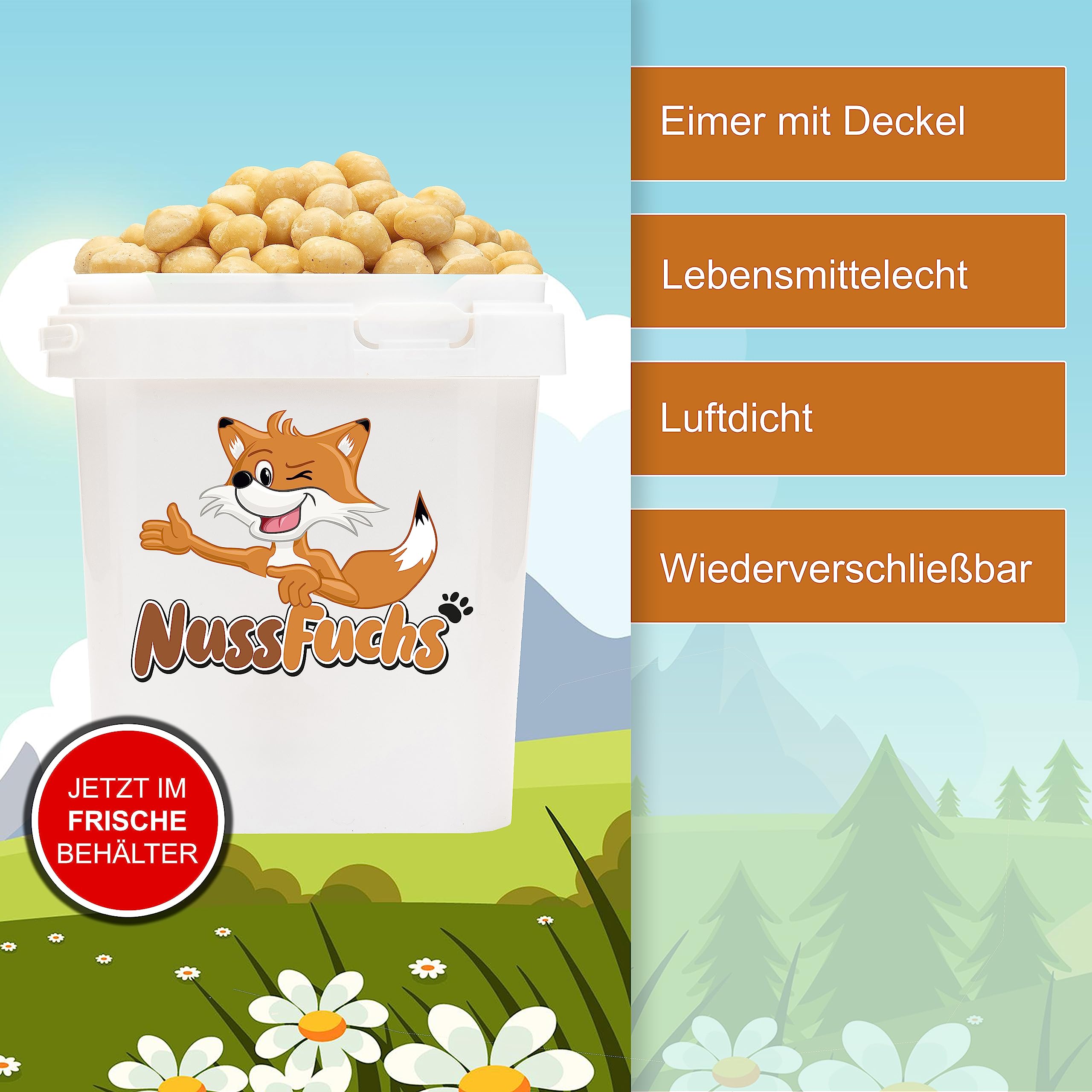 Macadamia Nüsse 1,5kg Macadamianüsse ungeröstet & ungesalzen ganze Macadamia Nusskerne roh ungesalzen naturbelassen unbehandelt knackige Macadamia Nüsse in Rohkostqualität - (1,5kg)