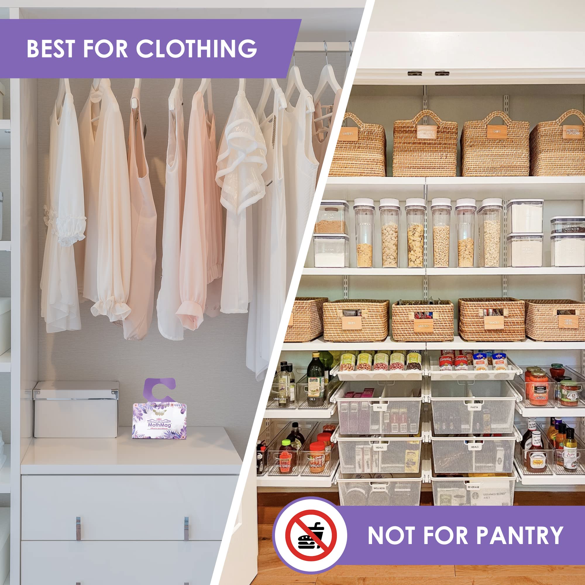 MothMag Moth Traps for Clothes, Closets, Fabrics, and Carpets, Clothes