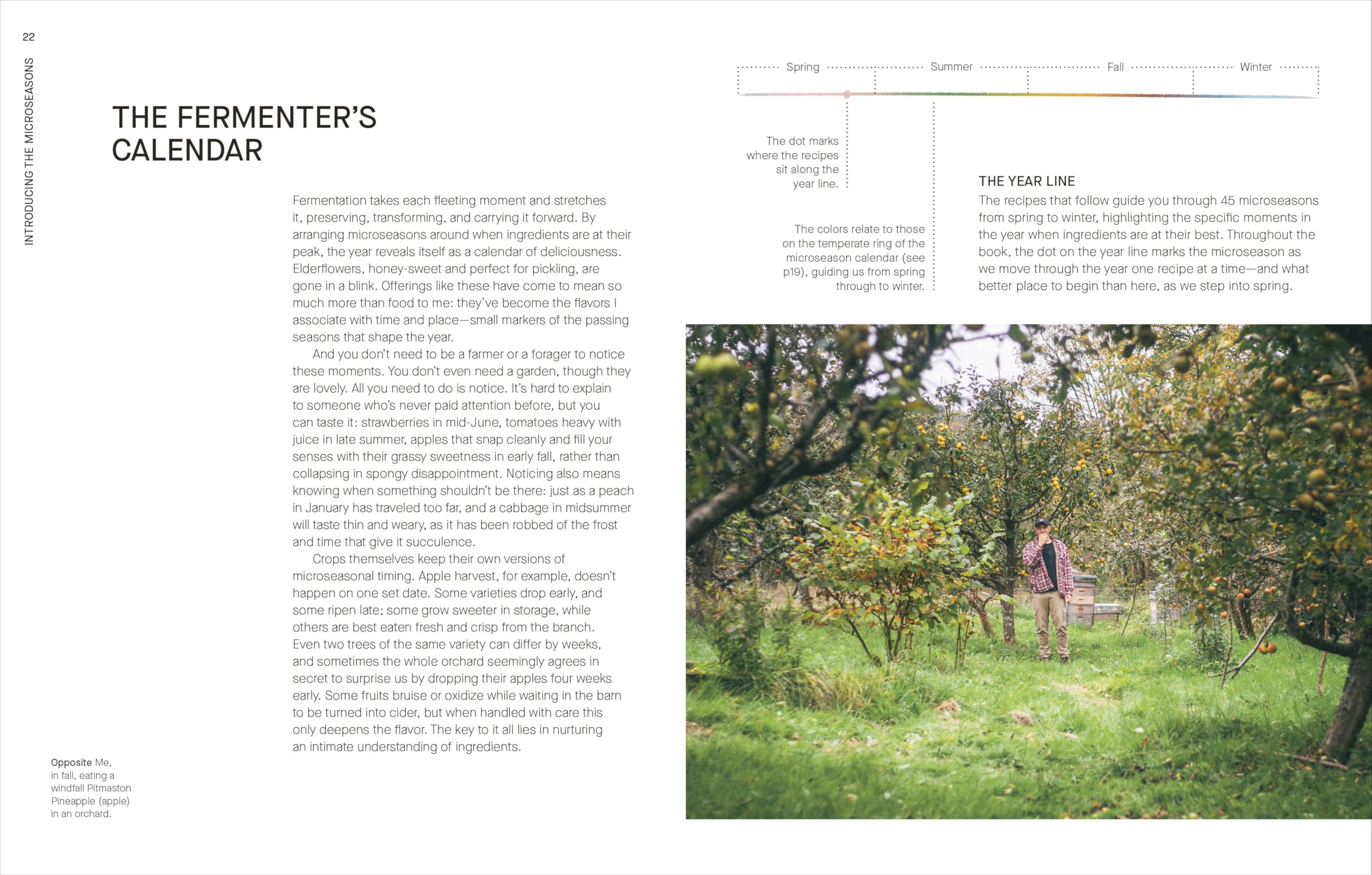 A Year of Fermentation: A Seasonal Guide to the Art & Science of Fermentation