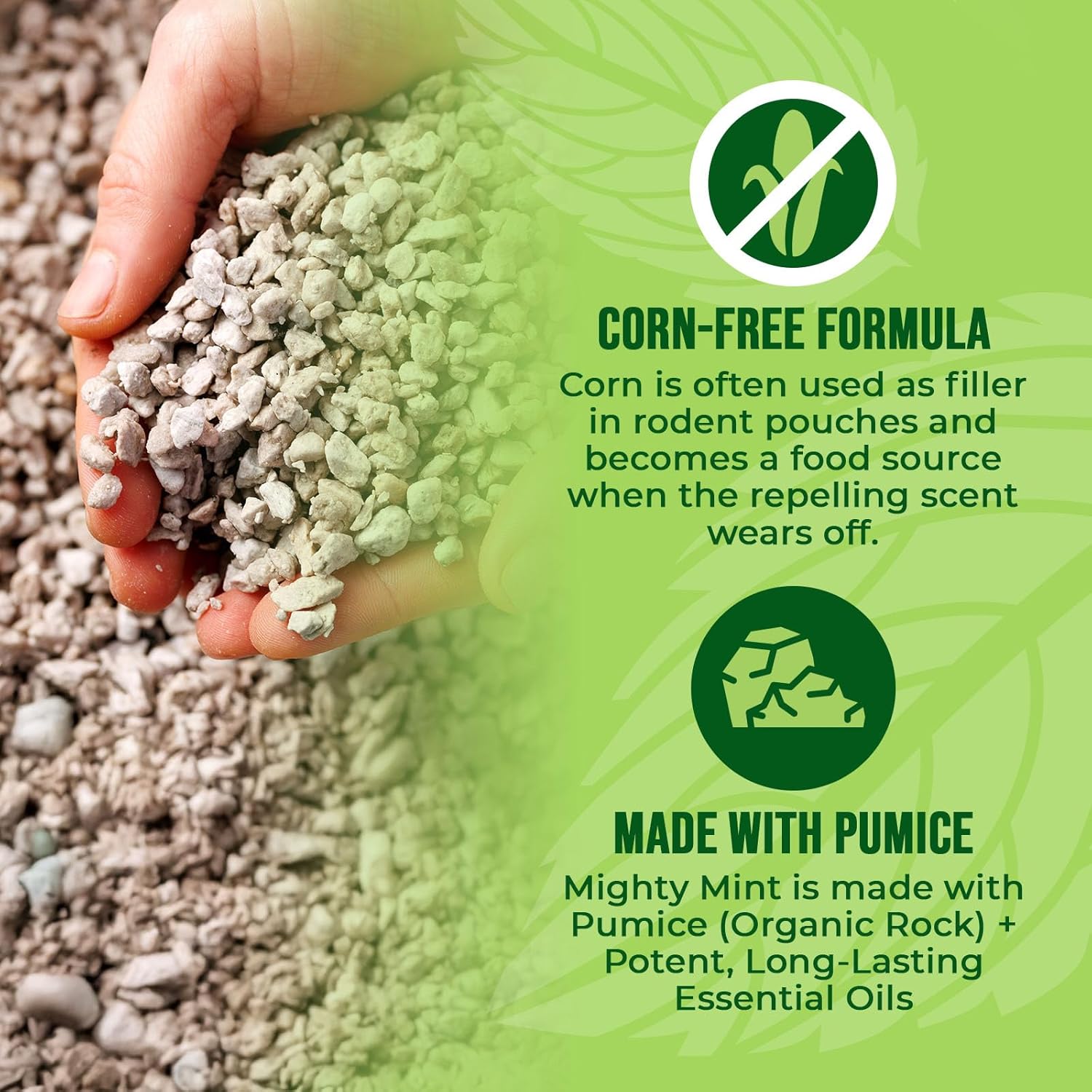 Mighty Mint Mouse Repellent Pouches – Peppermint, Castor Oil & Cinnamon Formula – Natural Indoor Deterrent for Mice and Rodents – Plant-Based, Long-Lasting Protection – 12 Count - Image 5