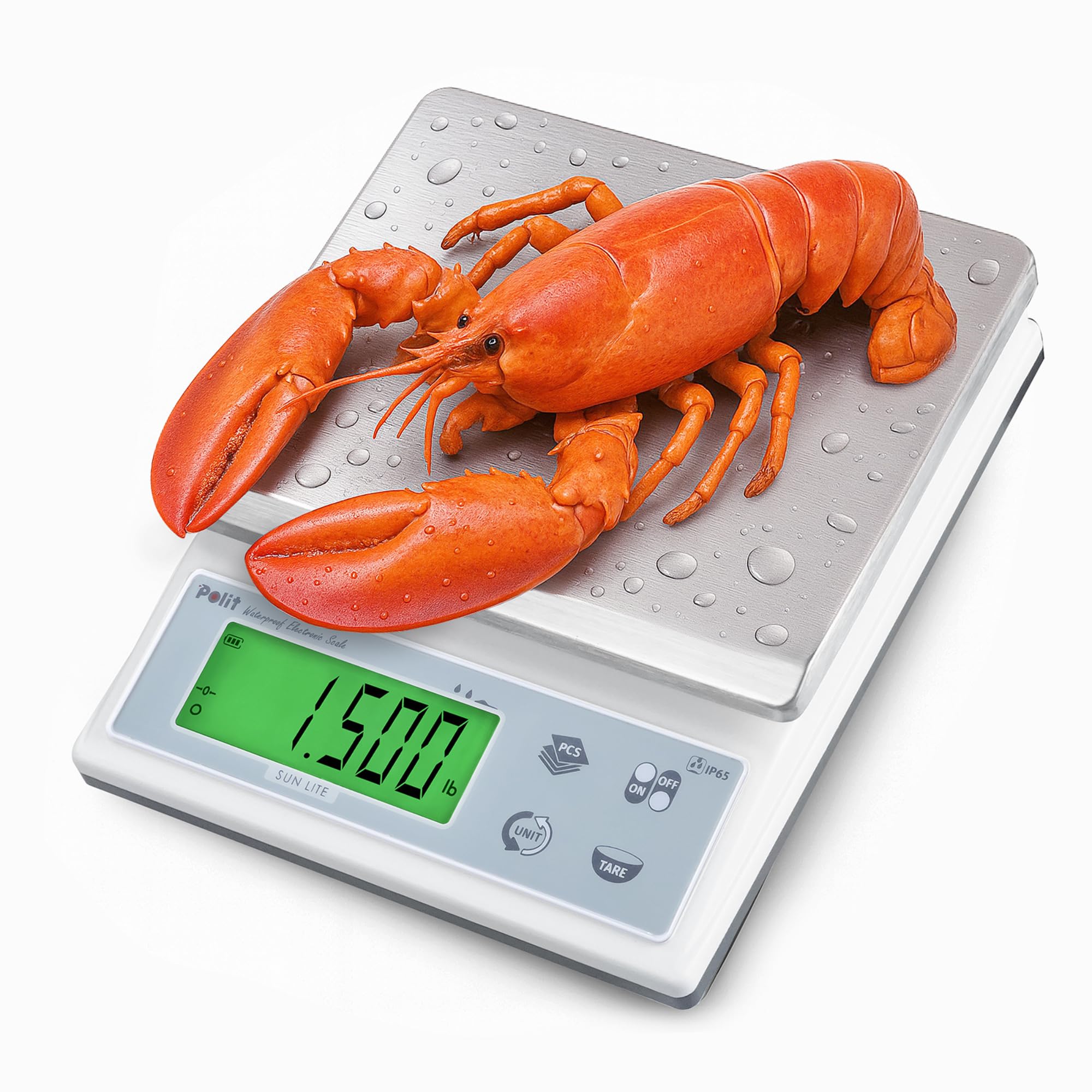 Polit Sun Lite - Báscula digital de cocina para alimentos, 3 kg, precisión de 1 g a 0,1 g, acero inoxidable impermeable con pantalla LCD, 5 unidades de peso (con adaptador de corriente)