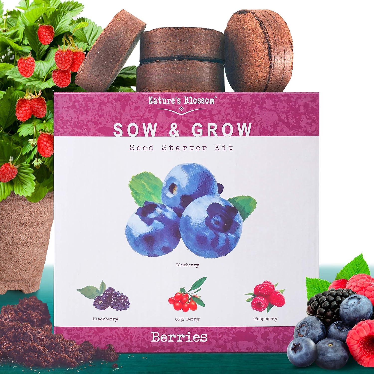 Nature's Blossom Exotic Berries Seed Starter Kits - A Complete Beginners Garden Grow Kit for Growing 4 Types of Berry Fruits from Seeds. Unique Idea.