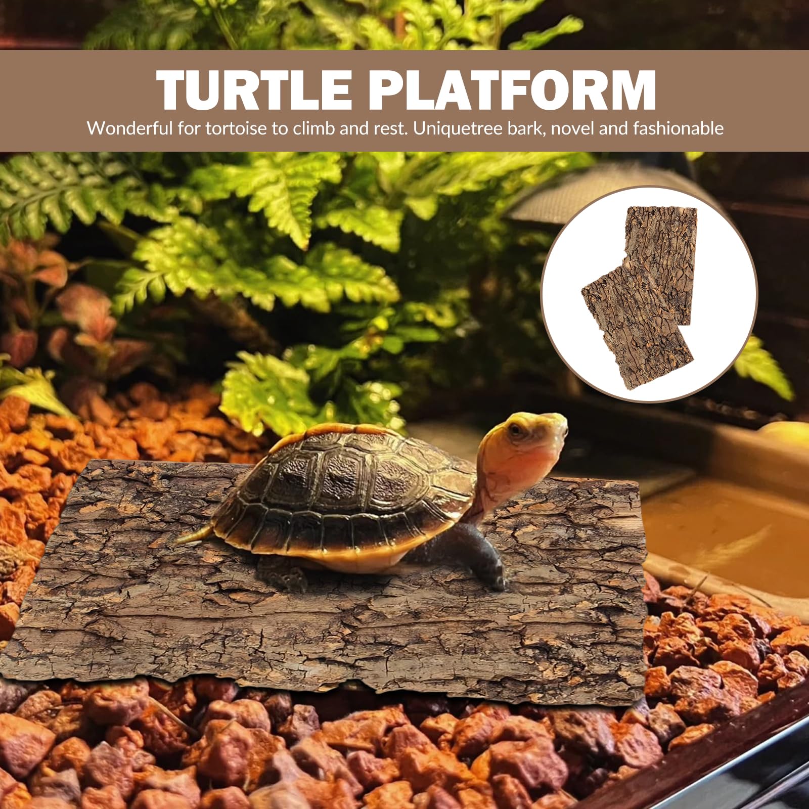 LZYDKH Corteccia di sughero, 3 pezzi, per terrario, in sughero, decorazione per albero, corteccia di sughero, per rettili, come Geco, Bartagame e tartarughe, 15 x 30 cm - 5