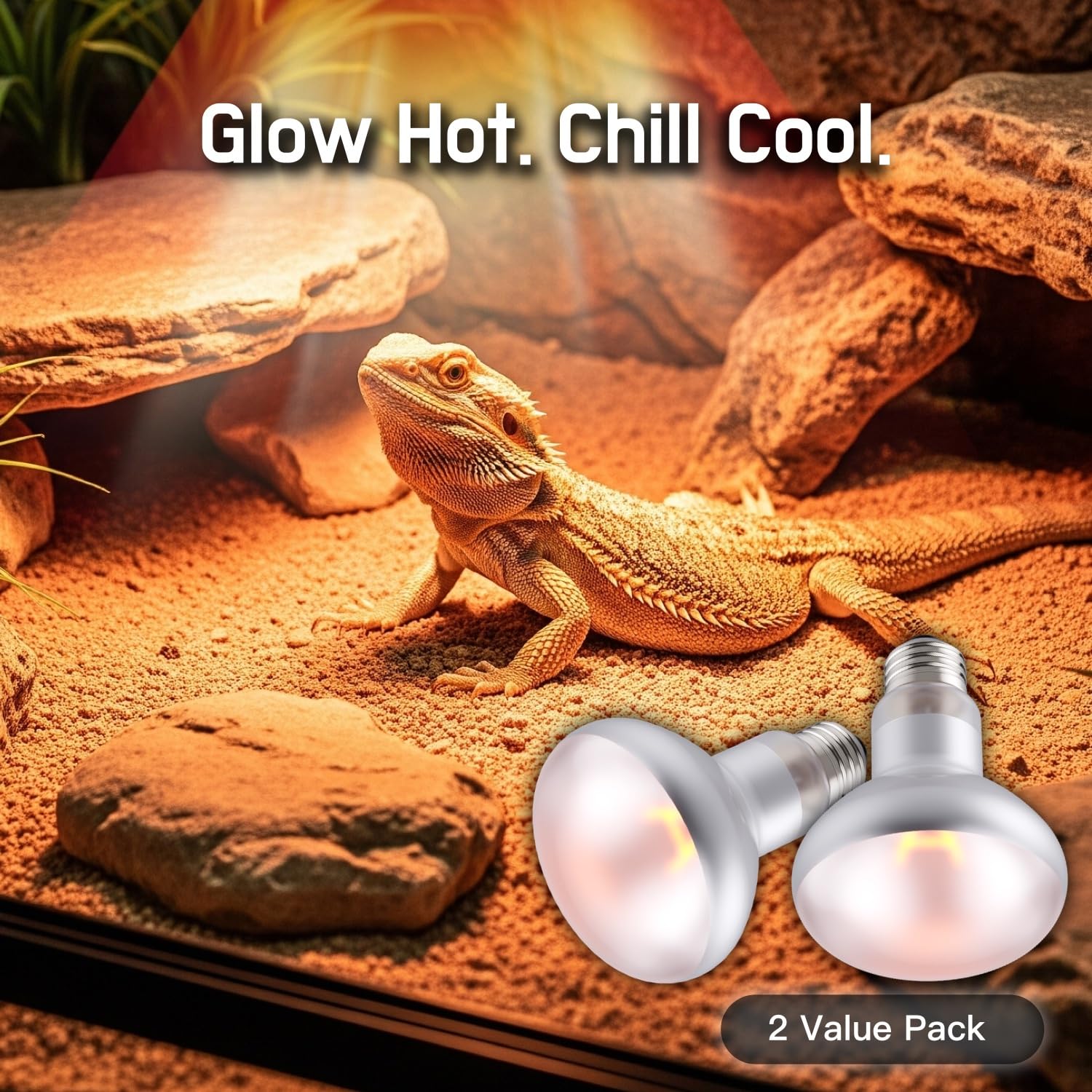 Reptile Heat Lamp, 100W 2-Pack Incandescent Basking Spotlight Bulbs for Reptiles Terrarium Tanks, Reptile Heat Bulb for Infrared Light, Bearded Dragon Heat Bulbs (100W) - image 6