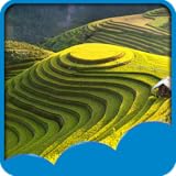 Comment utiliser l'application: