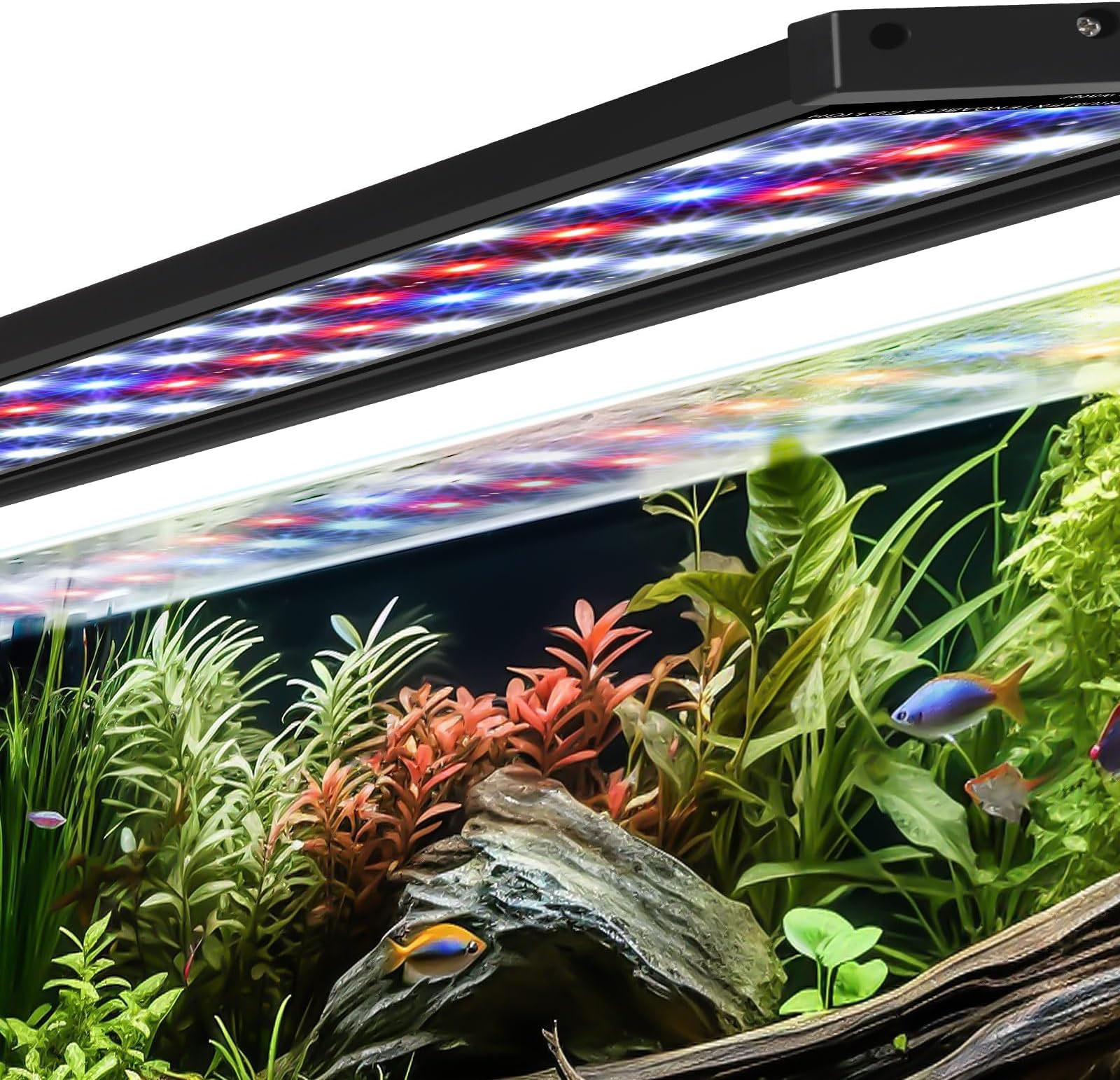 AQQA Full Spectrum LED Aquarium Light for Fish Tank Plants with 14 Colors Build-in Timer Dimmable & Waterproof with Extendable Brackets for Fish Tank 24-31 Inch (22W)