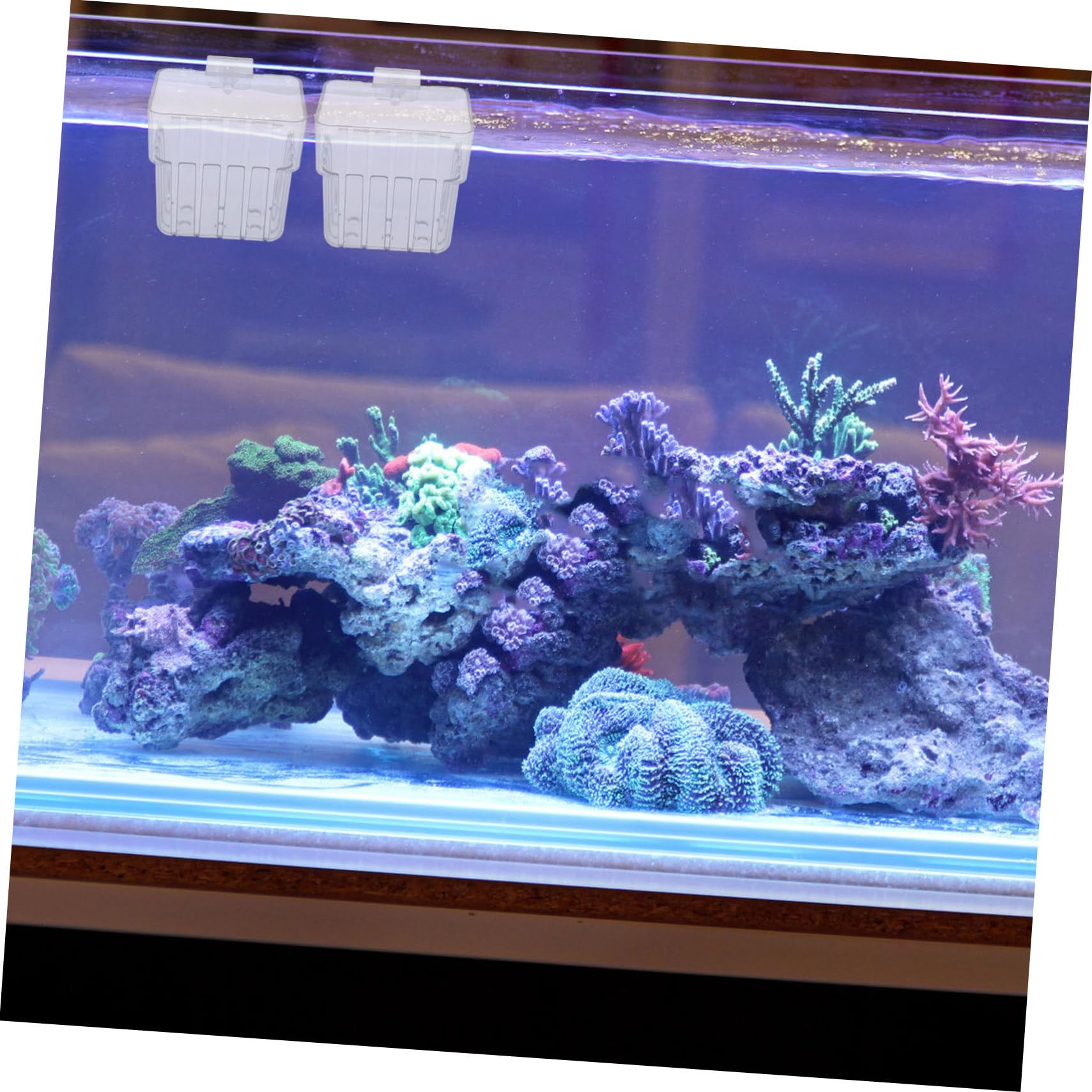 COLLBATH 8 Stück Teiliges Hydroponic Pflanzenhalter Aquarium Transparente Wandmontierte Hängende Wasserpflanzenhalter Platzsparende Hydroponik-körbe für Fischbecken und Dekorative