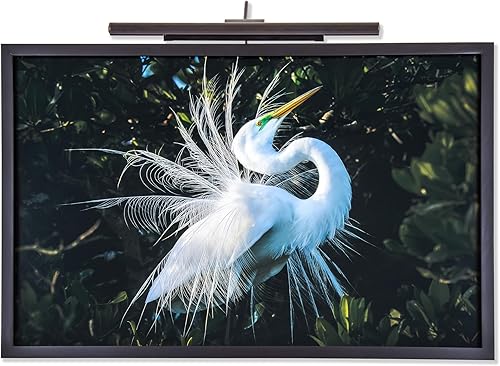 Miniatura 10 de Iluminación situ luz de arte LED inalámbrica y recargable - Serie Touch fabricada en Estados Unidos (negro, 2700K)