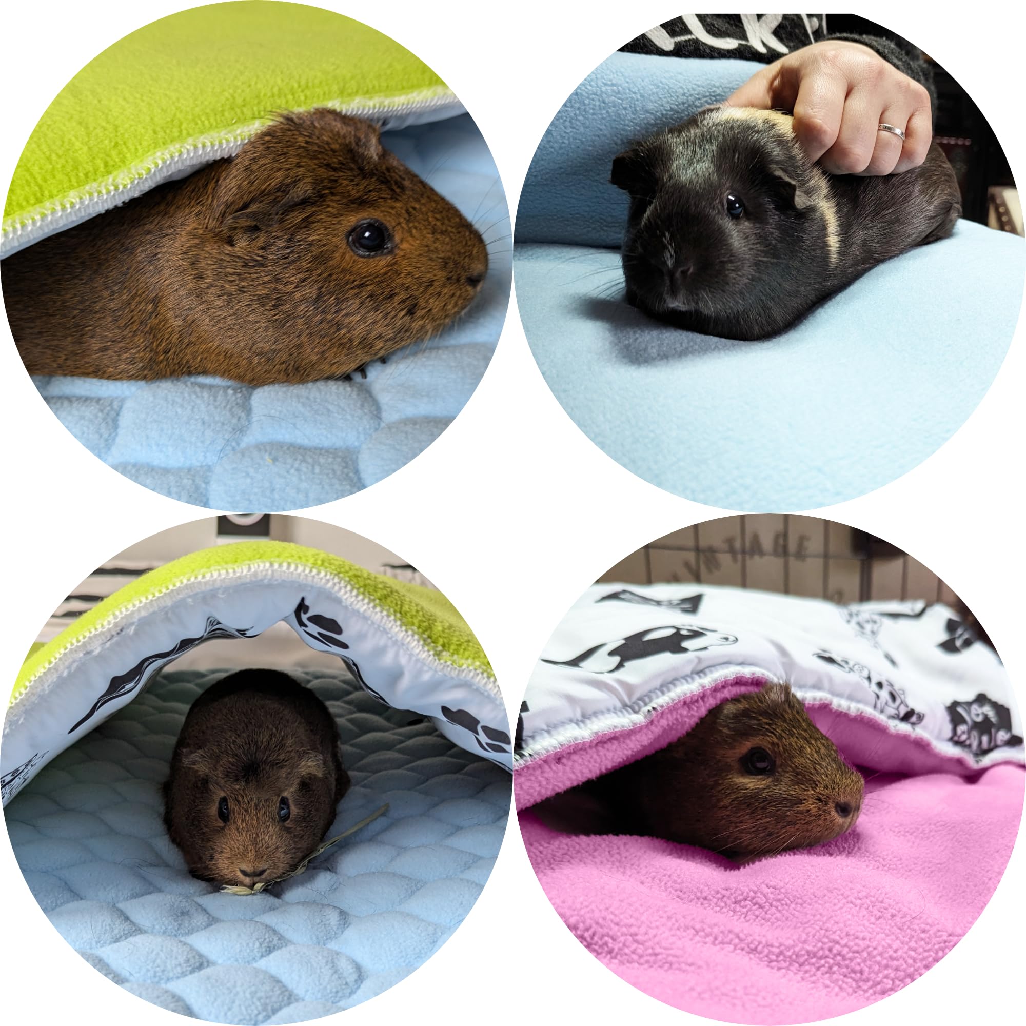 Fleece-Decke & Matte für Meerschweinchen und Kaninchen (2er Set) | 70 x 140 cm – C&C 2x4 – Rosa- Waschbare, weiche & saugfähige Unterlage. Perfekt als Spielmatte für Ihre Kleintiere