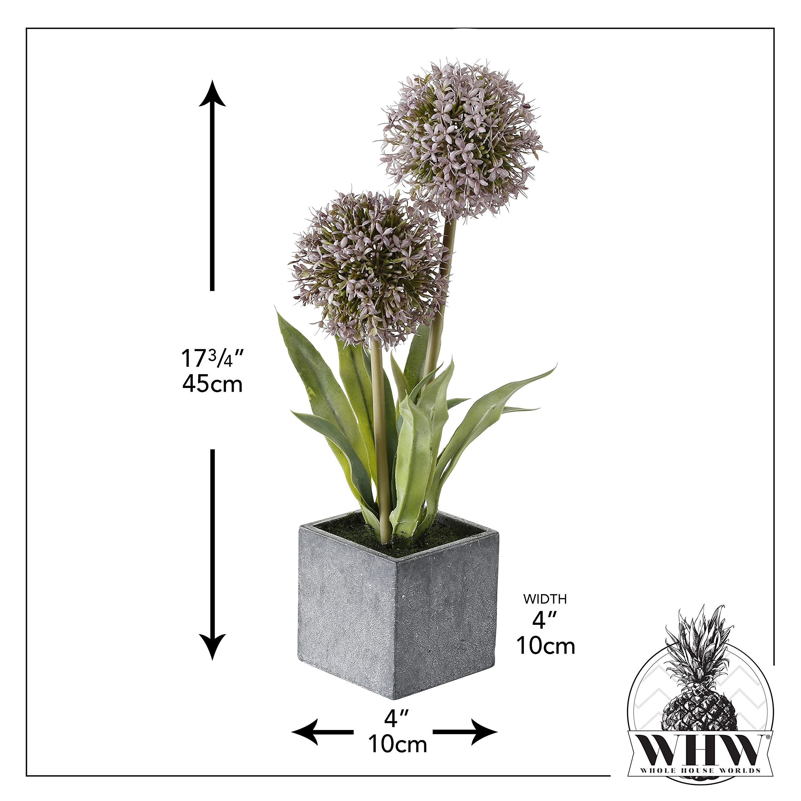 demeter zimmerpflanzen Demeter Gartenjahr Samen Set ➤ mit Keimgarantie main image 1