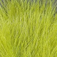 Vista 9 de Hareline Fly Tying X-Select Marabou – Premium Marabou Feathers for Fly Tying Streamers, Woolly Buggers & Leeches