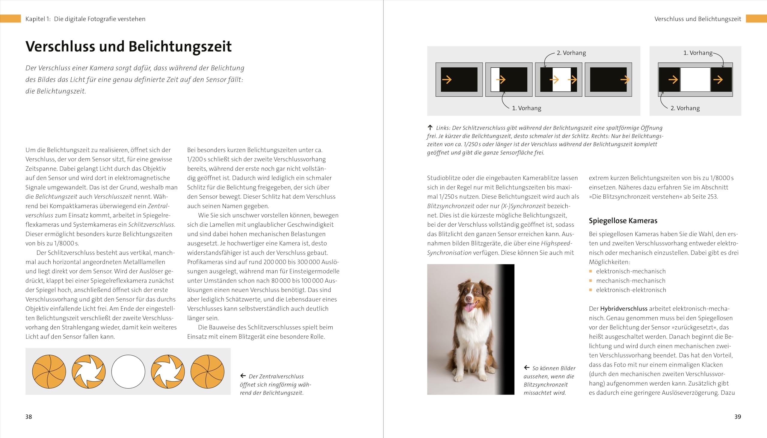 Fotografie verstehen: Über 700 Seiten Praxiswissen zu Technik, Bildgestaltung und Motiven. Die umfassende Fotoschule in neuer Auflage (2024)