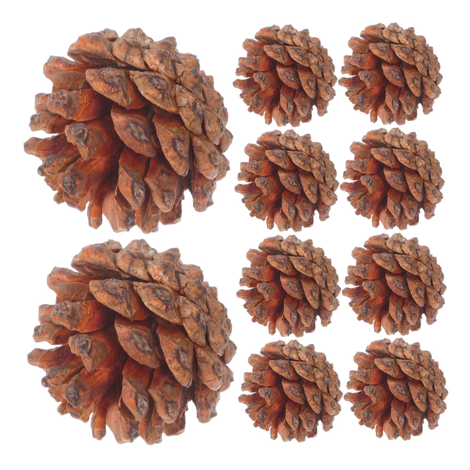 Mini pommes de pin naturelles lot de 130 pour déco automne et Noël