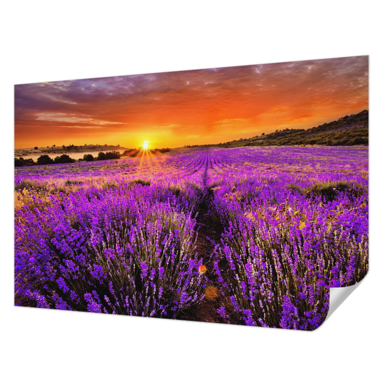Papier peint haute qualité Tulup lavande 104x70 cm décoration haut de gamme