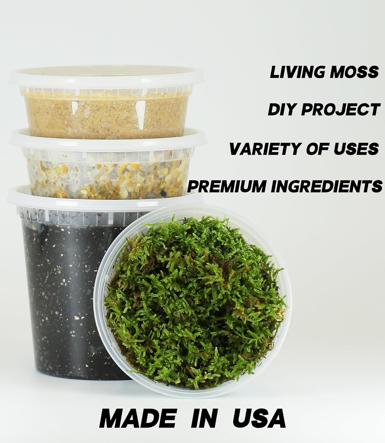 Terrarium Kit/Terrarium Jar DIY Succulent Live Moss Kit Nutritive Soil with Micronutrient, Gravel,Sand,Terrarium Supplies Plant Moss Set Potting Tarp Mat, Build for Adults Kids (Large Kit)
