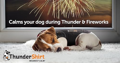 Miniatura 7 de ThunderShirt Polo - Chaqueta de ansiedad para perro, XL