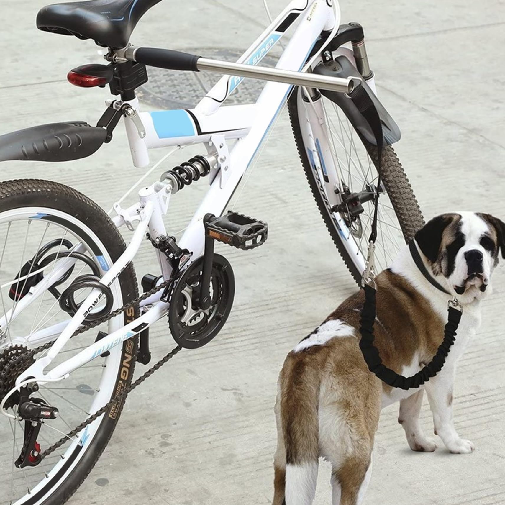 Guinzaglio per cani a mani libere, resistente, con guinzaglio retrattile, per esercizi, allenamento, jogging, ciclismo