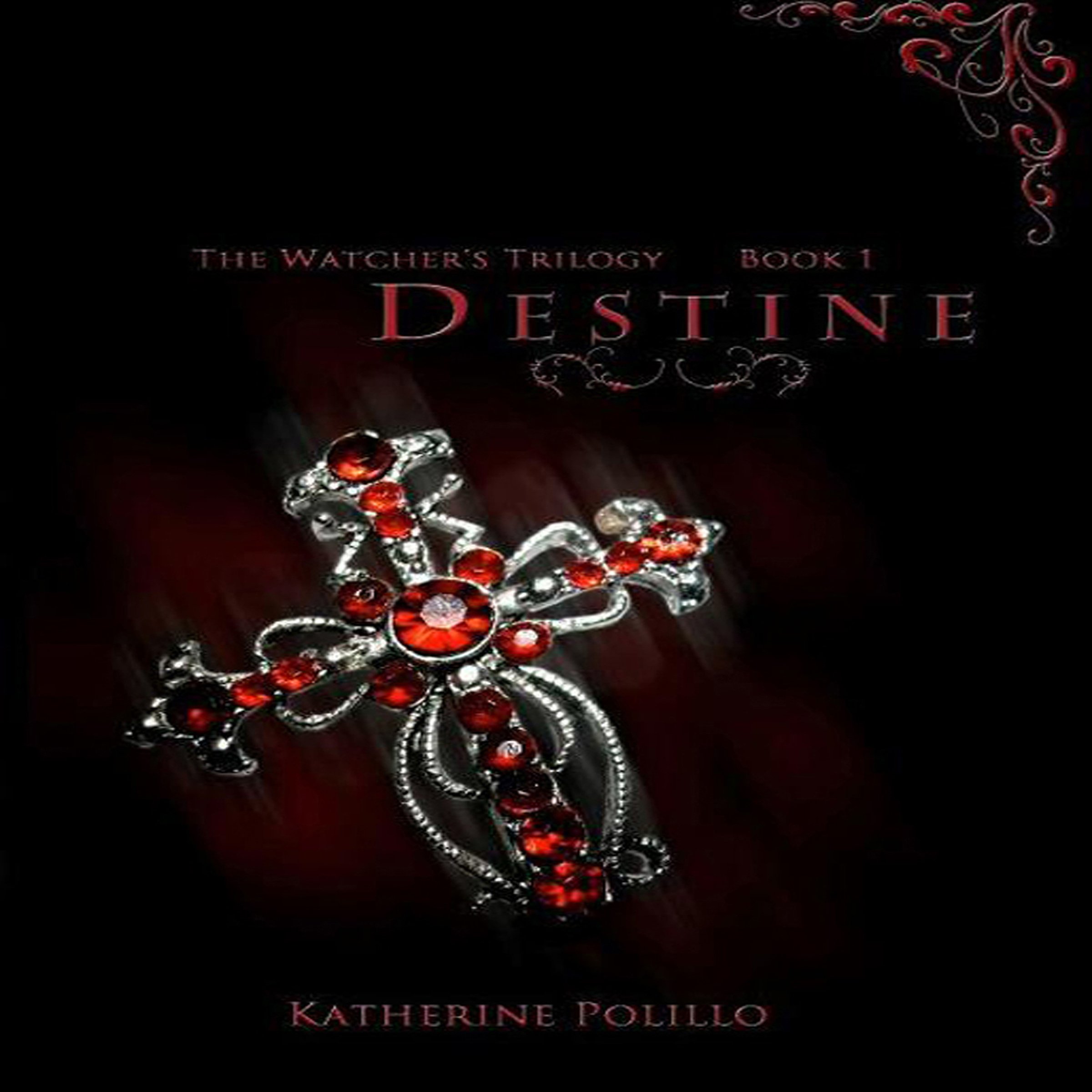 Cover art for Destine