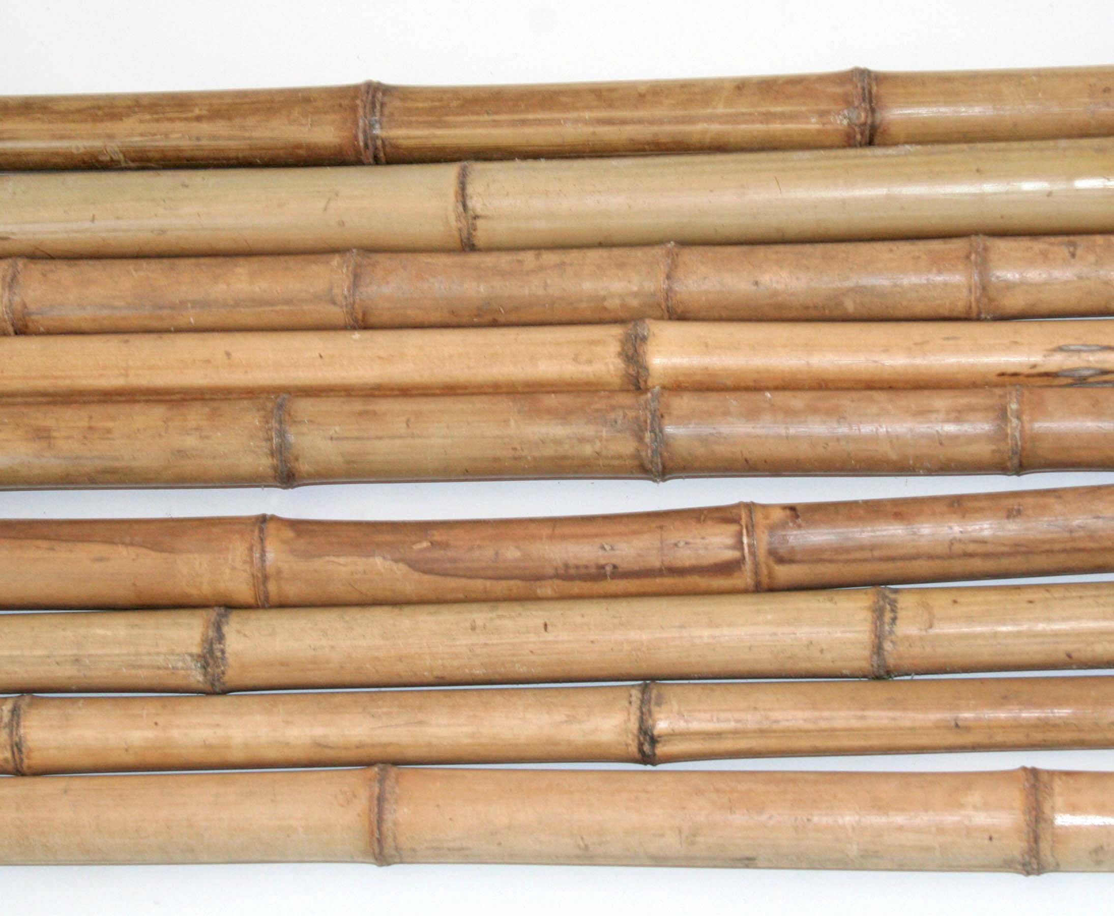 10 Stck Bambusrohre 300cm hitzebehandelt mit 2 bis 3,5cm Durchmesser -  Gedmpfte Bambusstangen 3m lang : Amazon.de: Garten