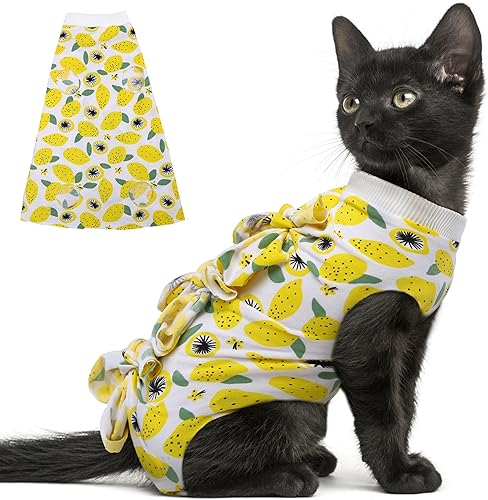PUMYPOREITY Traje de recuperaciĂłn para gatos despuĂ©s de la cirugĂa, alternativa al collar electrĂłnico de cono para mascotas, disfraz profesional PUMYPOREITY Traje de recuperaciĂłn para gatos despuĂ©s de la cirugĂa, alternativa al collar electrĂłnico de cono para mascotas, disfraz profesional