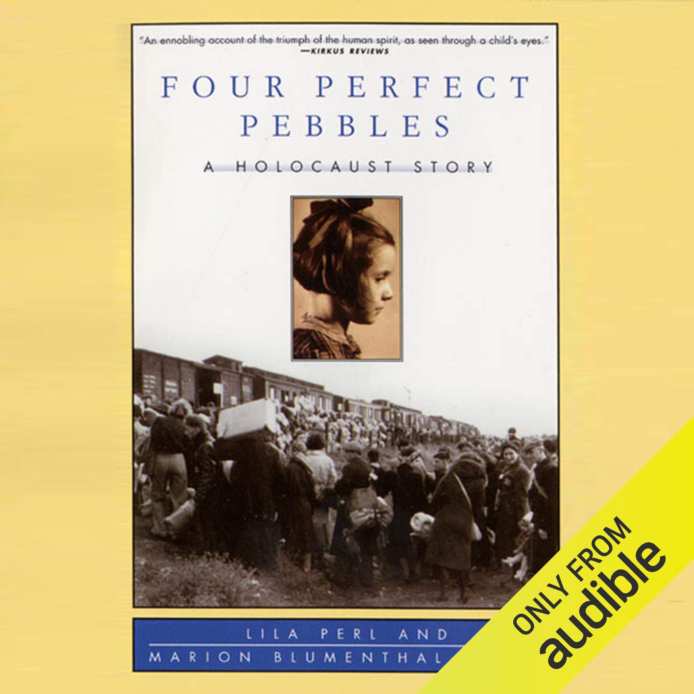 Cover art for Four Perfect Pebbles