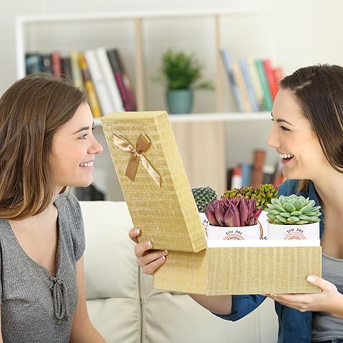 Miniatura 6 de SAIWEILAI ONLINE 9 piezas de regalos de agradecimiento para empleados, profesores, enfermeras, macetas para suculentas de 3.15 pulgadas con drenaje,