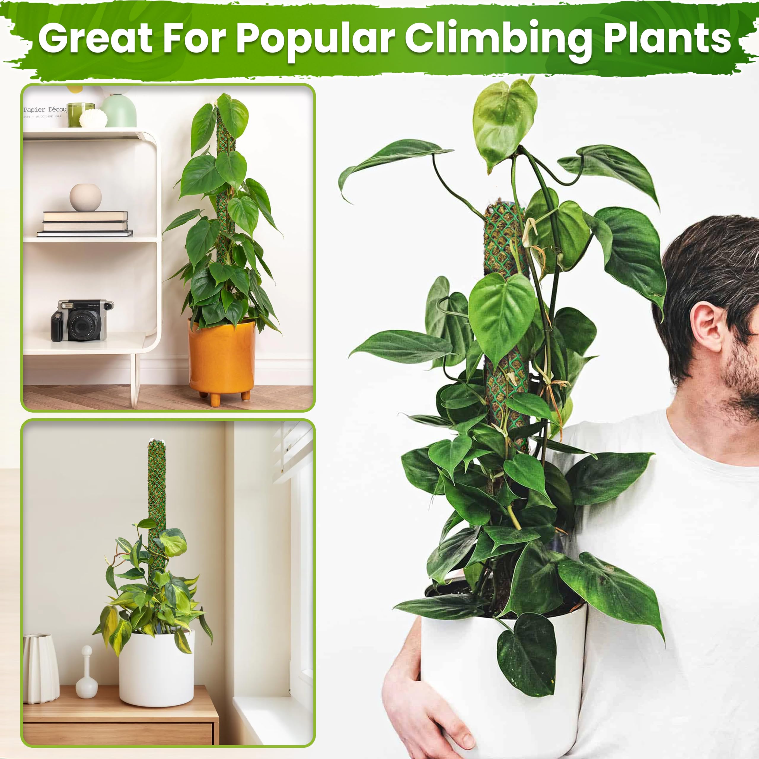 Amazon | DUSPRO 自己散水天然グリーンフォレストモスポール 屋内植物