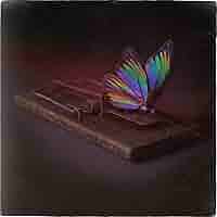 (CD) PICTURESQUE「DO YOU FEEL O.K?」 hqdefault.jpg