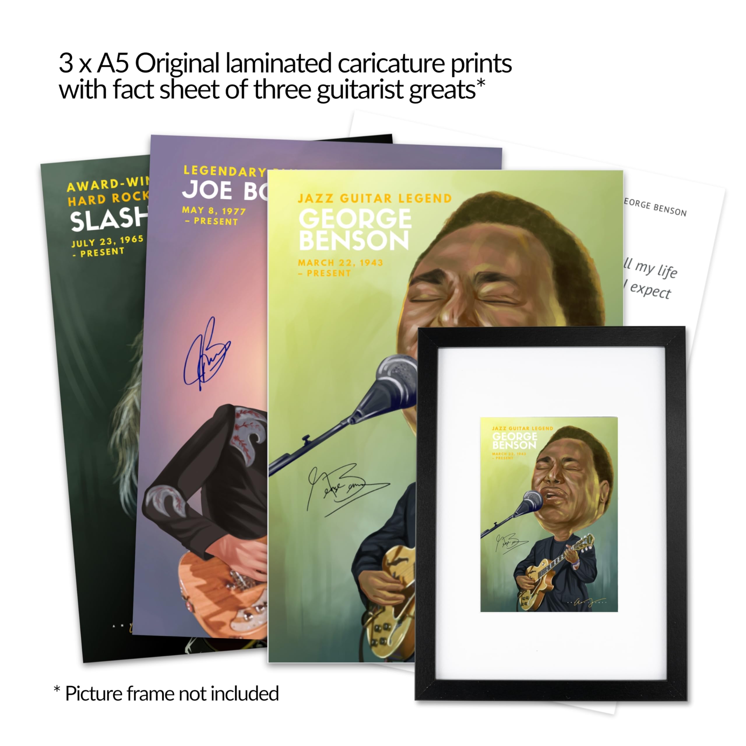 Guitar Gift Box Set by Antony Scott, Silver Resonator, Martin - Image 4