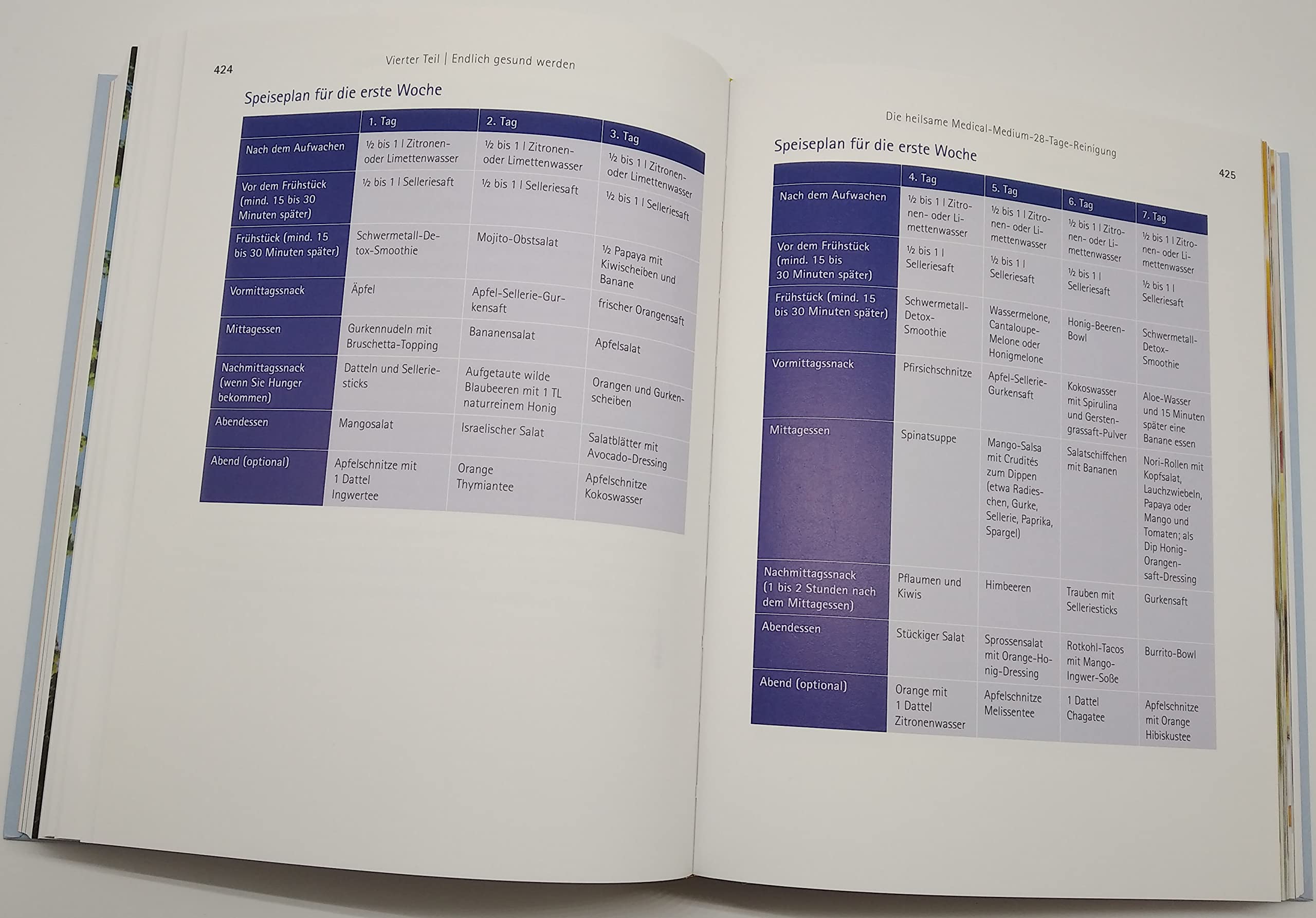 Mediale Medizin: Der wahre Ursprung von Krankheit und Heilung - Überarbeitete und erweiterte Neuausgabe. NEU: mit vielen Farbfotos, 46 Rezepten, aktuellen Virenschutz-Strategien