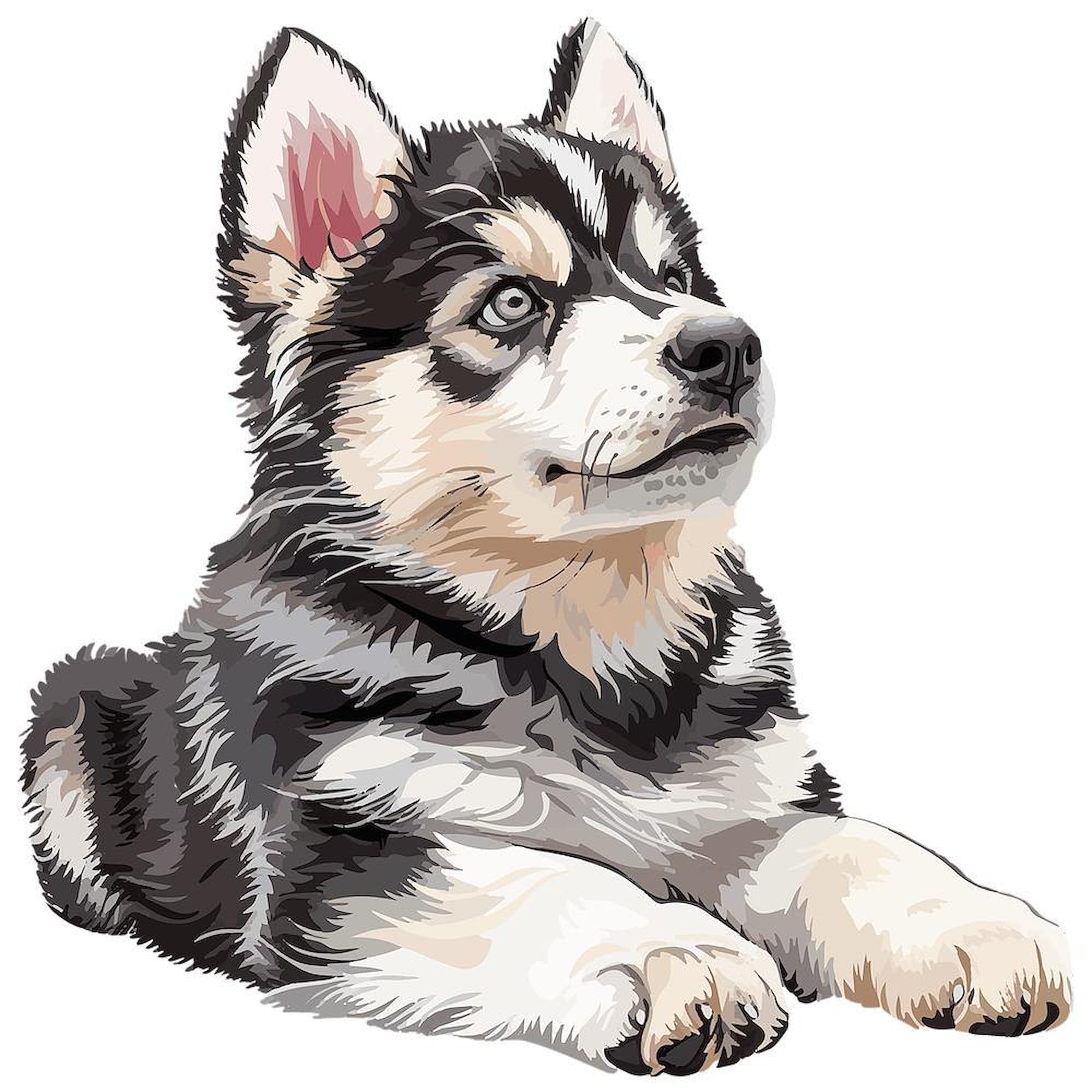 CafePress Alaskan Malamute Puppy Queen Duvet Cover, Printed Comforter Cover, Unique Bedding