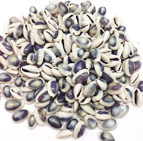 Miniatura 10 de PEPPERLONELY 25PC Day-Break Cowry Sea Shells, Palmadusta Diluculum Shells, 34 pulgadas  1-14 pulgadas