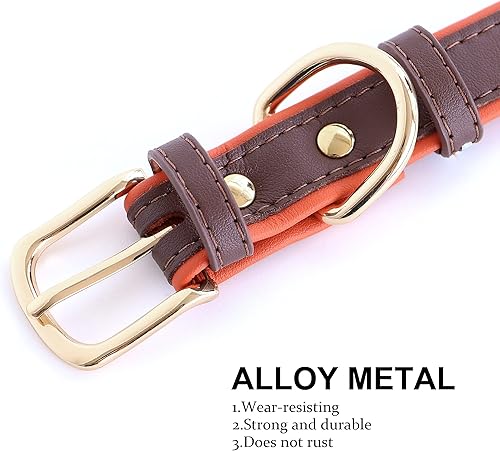 Miniatura 9 de Didog Collares de piel sintética suave para perro con letras de nombre personalizadas con diamantes de imitación, para perros pequeños y medianos,