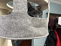 Review Image by Elan