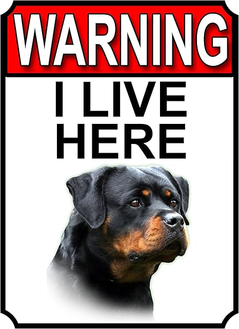 SHAWPRINT WARNING I LIVE HERE METAL GATE SIGN ROTTWEILER THEME 200MM X 150MM (1347H1)