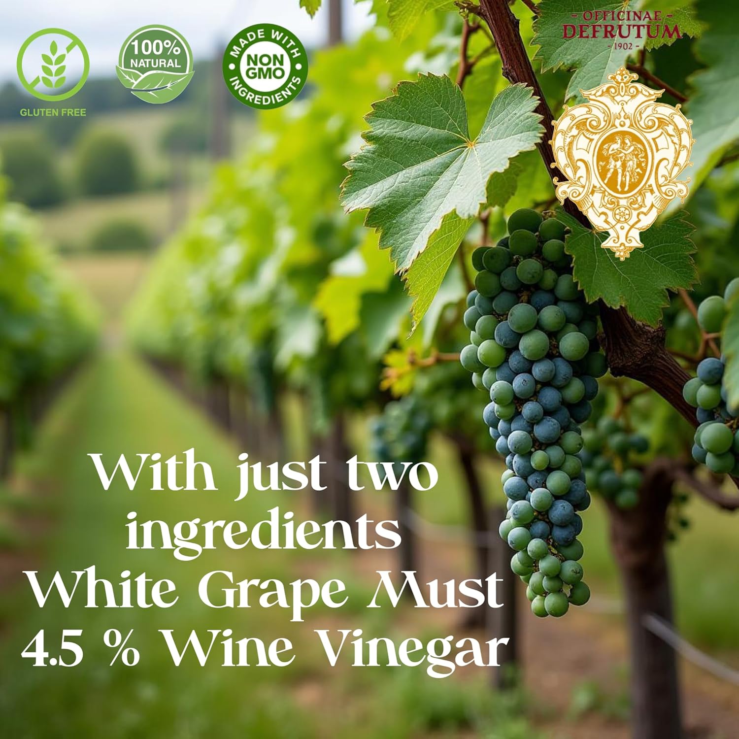 Rosé Balsamic Condiment, Gourmet Vinegar Dressing