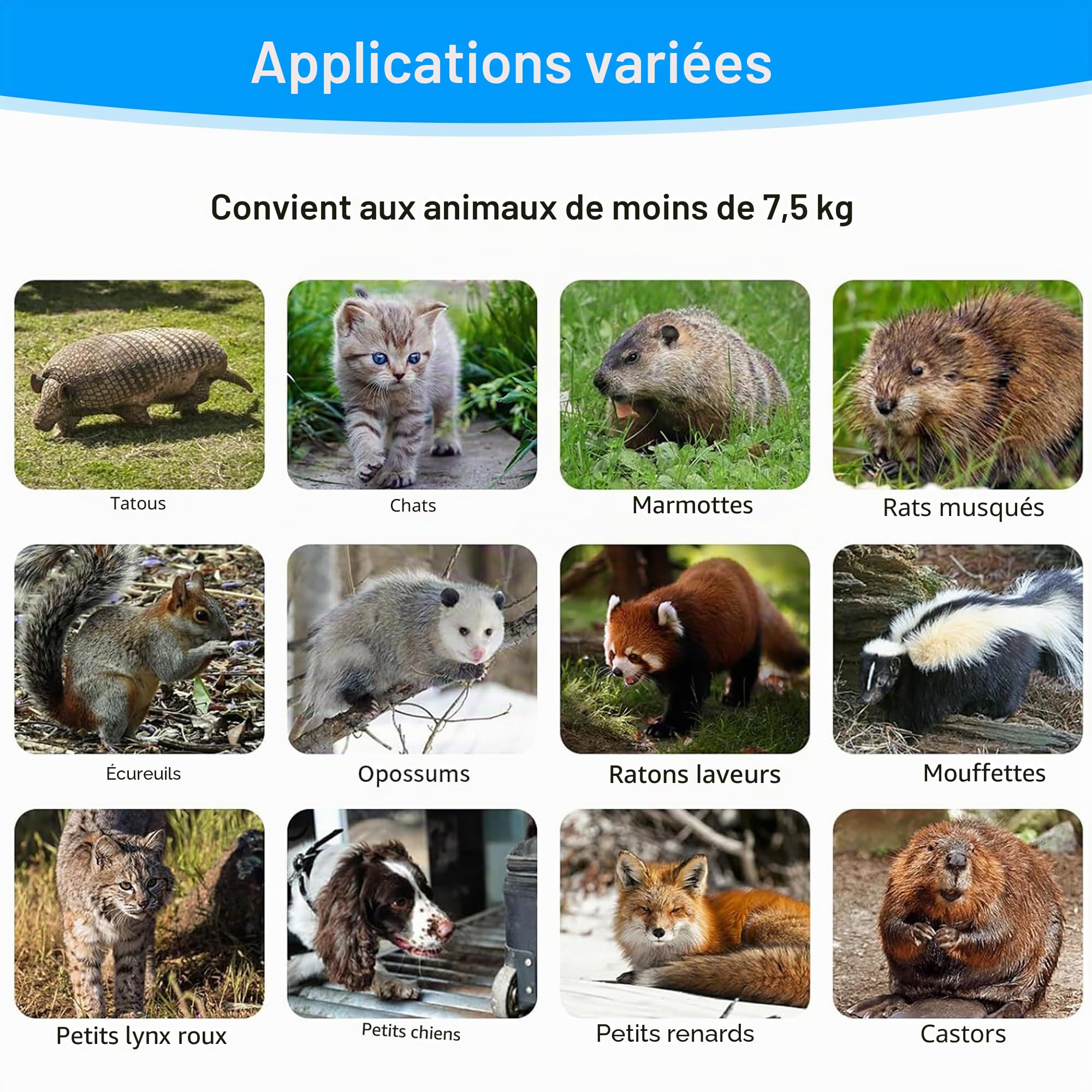 Pièges à Chat - Piège Animalier Vivant - Piège de Capture Animaux sans Cruauté, Pliable, Grand piège à martre pour Chat, Renard, Rat - 79 x 33 x 28 cm