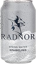 Radnor Sparkling Spring Water Cans - 330ml (Box 24)