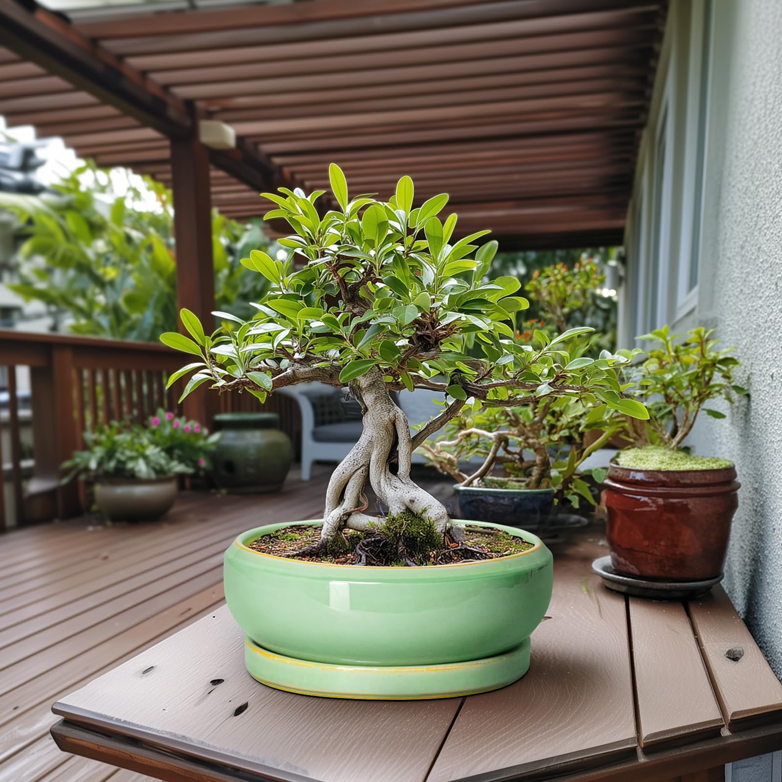 Große Bonsai-Töpfe - 13 Zoll Keramik-Sukkulenten-Töpfe für Innen Außen, Keramik-Pflanzgefäß mit Ablaufloch und Untersetzer, flacher runder Pflanztopf, Gartendekor, Geschenke für Frauen Männer