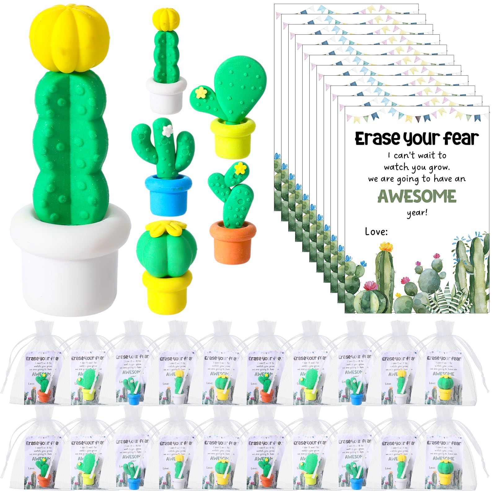 Spakon 25 Set Inspirational Gifts Include 50 Cactus Plants Shaped Erasers 25 Erase Your Fear Cards Organza Bags School Office Supplies Classroom