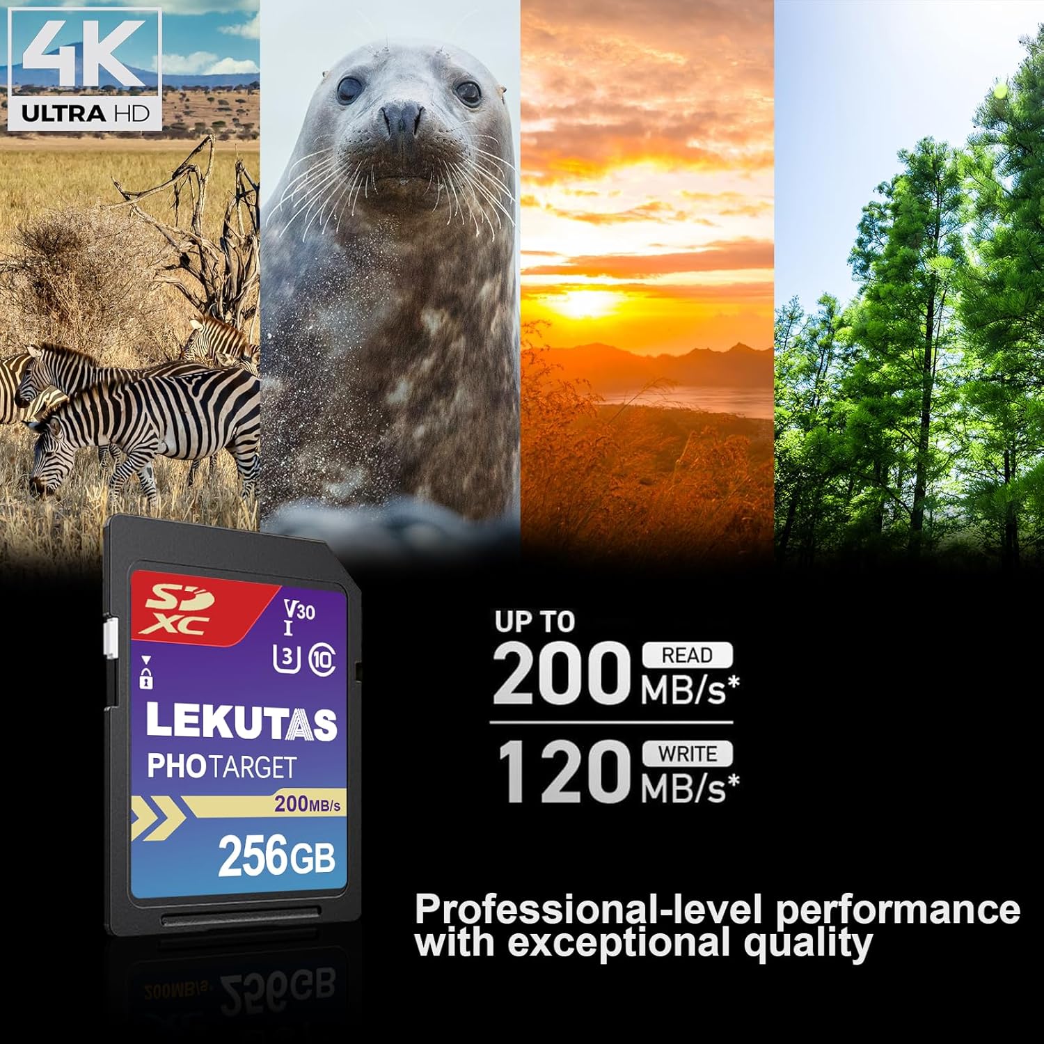 256GB SDXC UHS-I Memory Card - Up to 200MB/s Read Speed, C10, U3, V30, 4K UHD, Full-HD & 4K Video SD Card for Canon Nikon Sony Fujifilm DSLR, Mirrorless Cameras